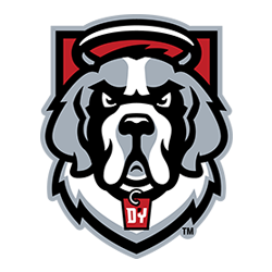 D'Youville University Men's Basketball Camps